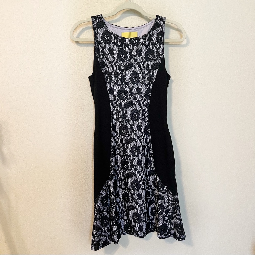 Anthropologie Mauve Black Lace Fit and Flare Dress